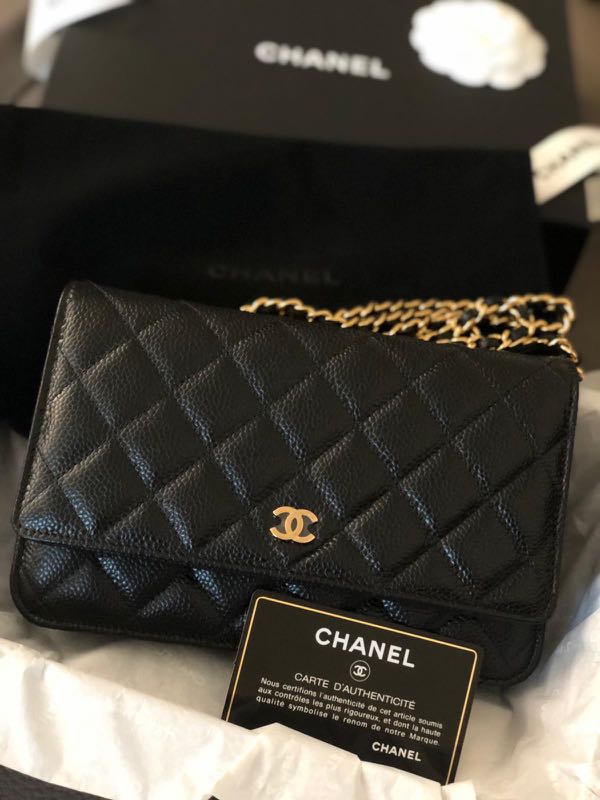 Chanel Classic Wallet On Chain (*BNIB) Series 31, Luxury, Bags