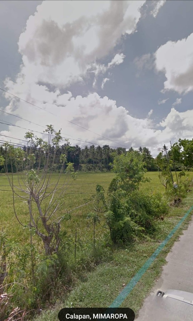 (Category: ) located in . Submitted by cha0825 (Listing ID 1076016902, Image 1). Description: .