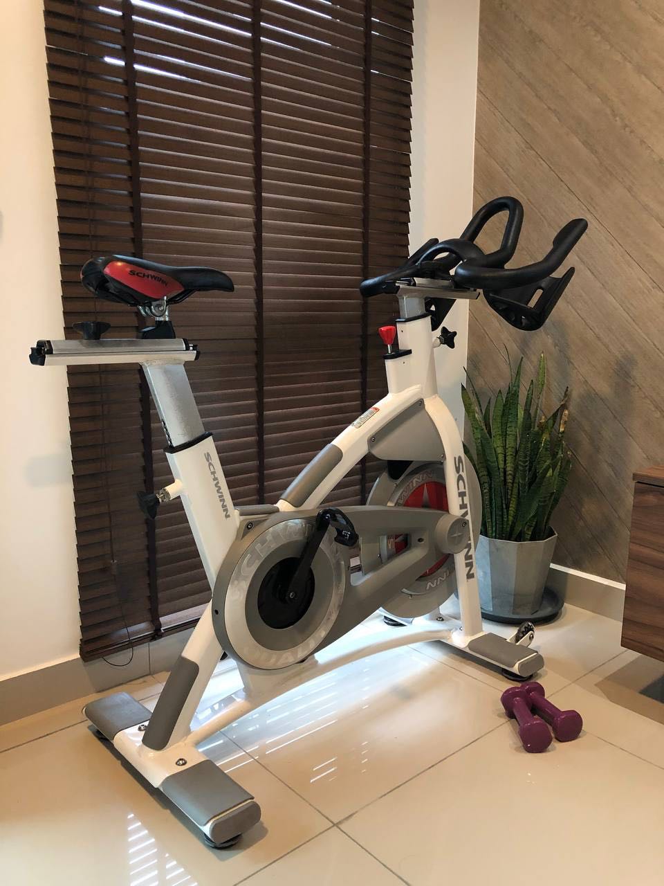 Schwinn AC Performance Plus Chain Drive Spin Bike Sports