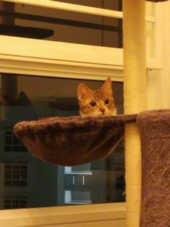 (Category: ) located in . Submitted by reidt (Listing ID 1076270371, Image 1). Description: .