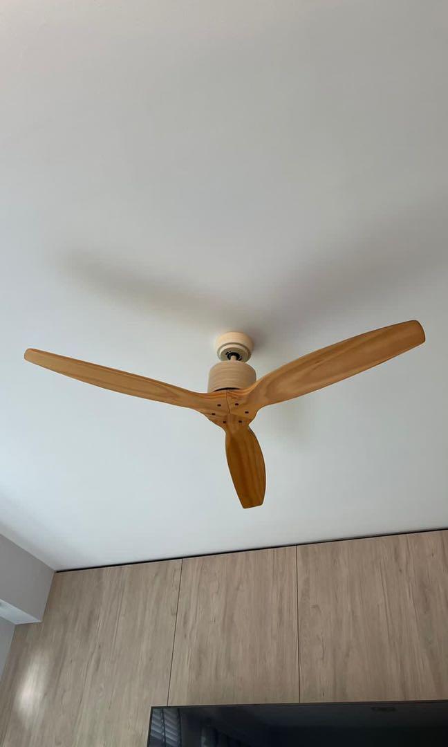 Wooden Ceiling Fan Nz Shelly Lighting