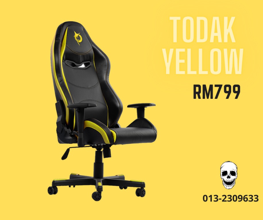 Todak chair review store