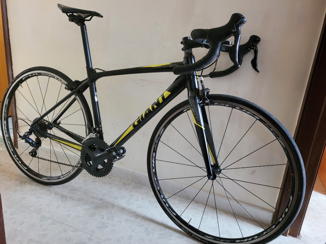 Giant scr sale 1 2019