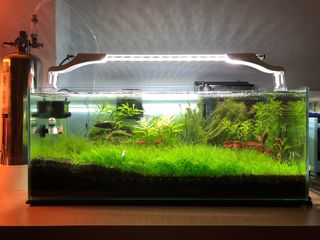 (Category: ) located in . Submitted by eagerbeagle (Listing ID 1076209904, Image 1). Description: .
