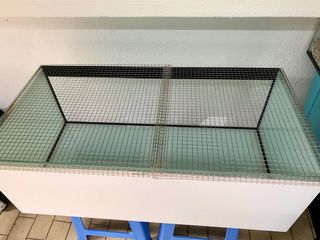(Category: ) located in . Submitted by gerbils_sg (Listing ID 1076179614, Image 1). Description: .
