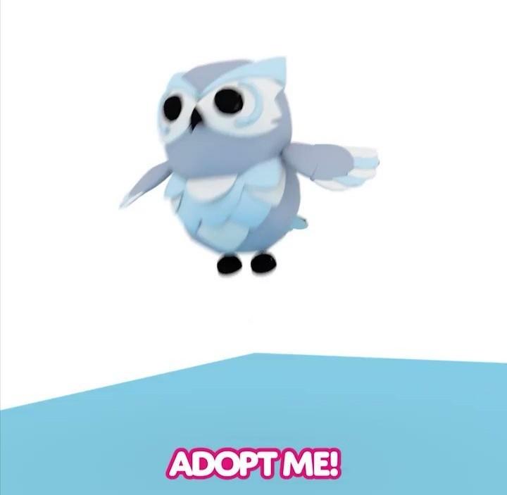 Adopt Me Normal Snow Owl Video Gaming Video Games On Carousell - how to get the legit owl in roblox