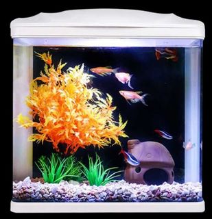 (Category: ) located in . Submitted by 116792143 (Listing ID 1072606059, Image 1). Description: .