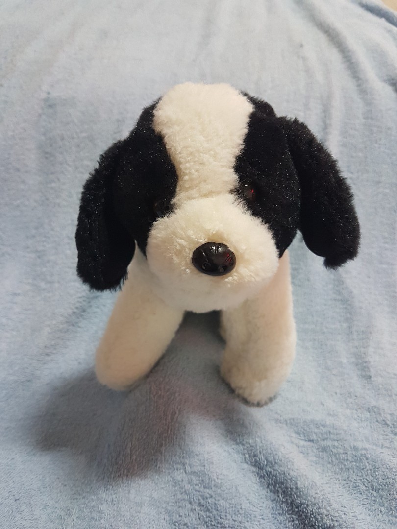 Authentic Miniso Life Black White Puppy Dog Plush Soft Toy, Hobbies ...