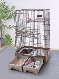 (Category: ) located in . Submitted by paws_n_love (Listing ID 1068753963, Image 1). Description: .