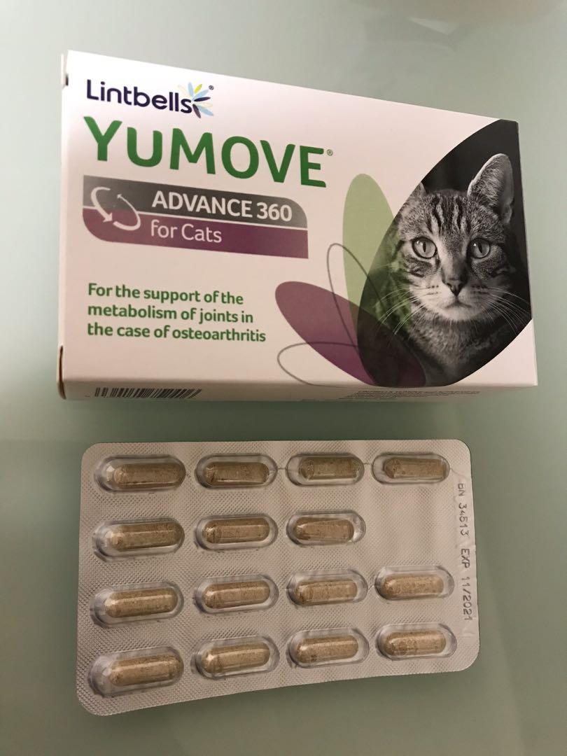 Yumove advance 360 deals for cats