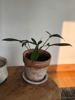 （分類：）位於 。 由 ronboss120 提交（商品編號 1072620882，圖片 1）。簡介： 。