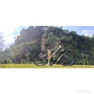 raleigh rl800