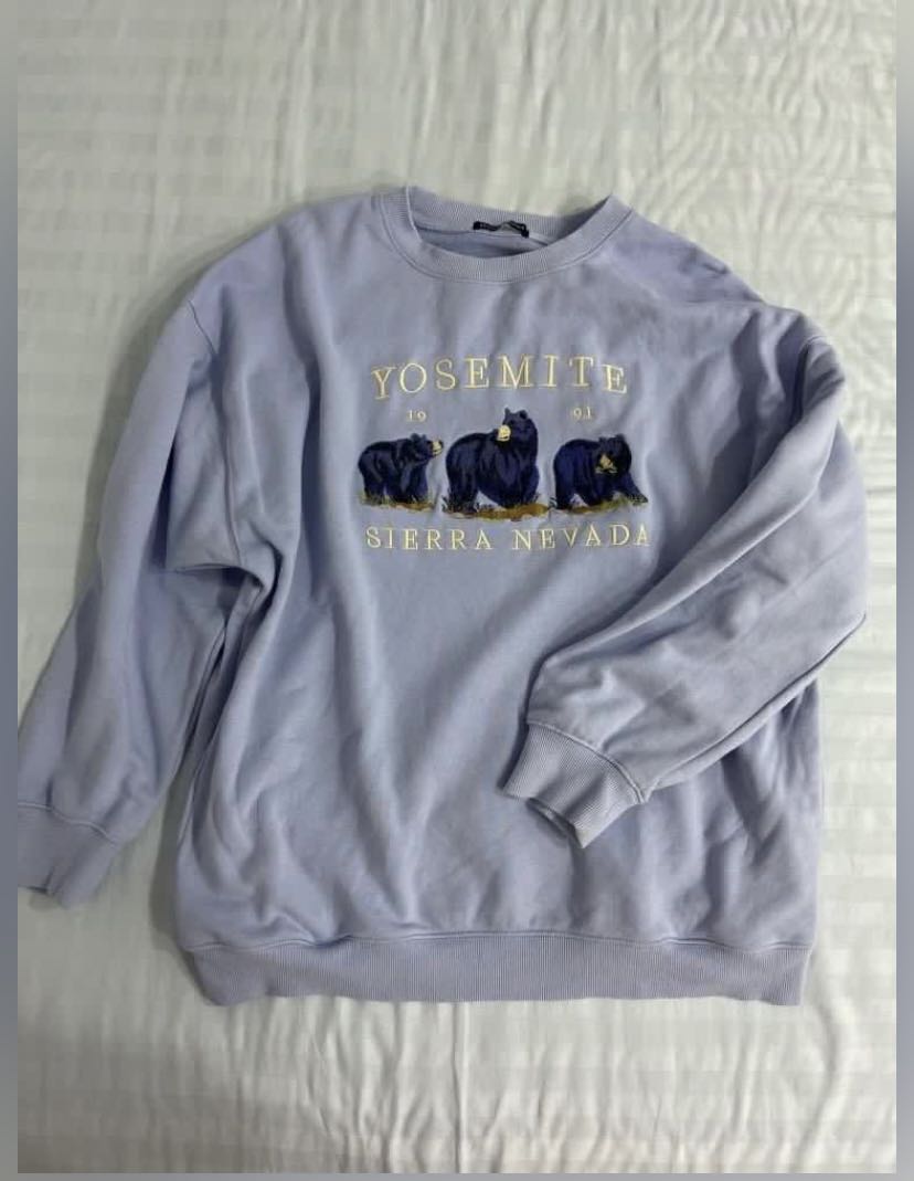 Brandy melville hotsell yosemite sweater