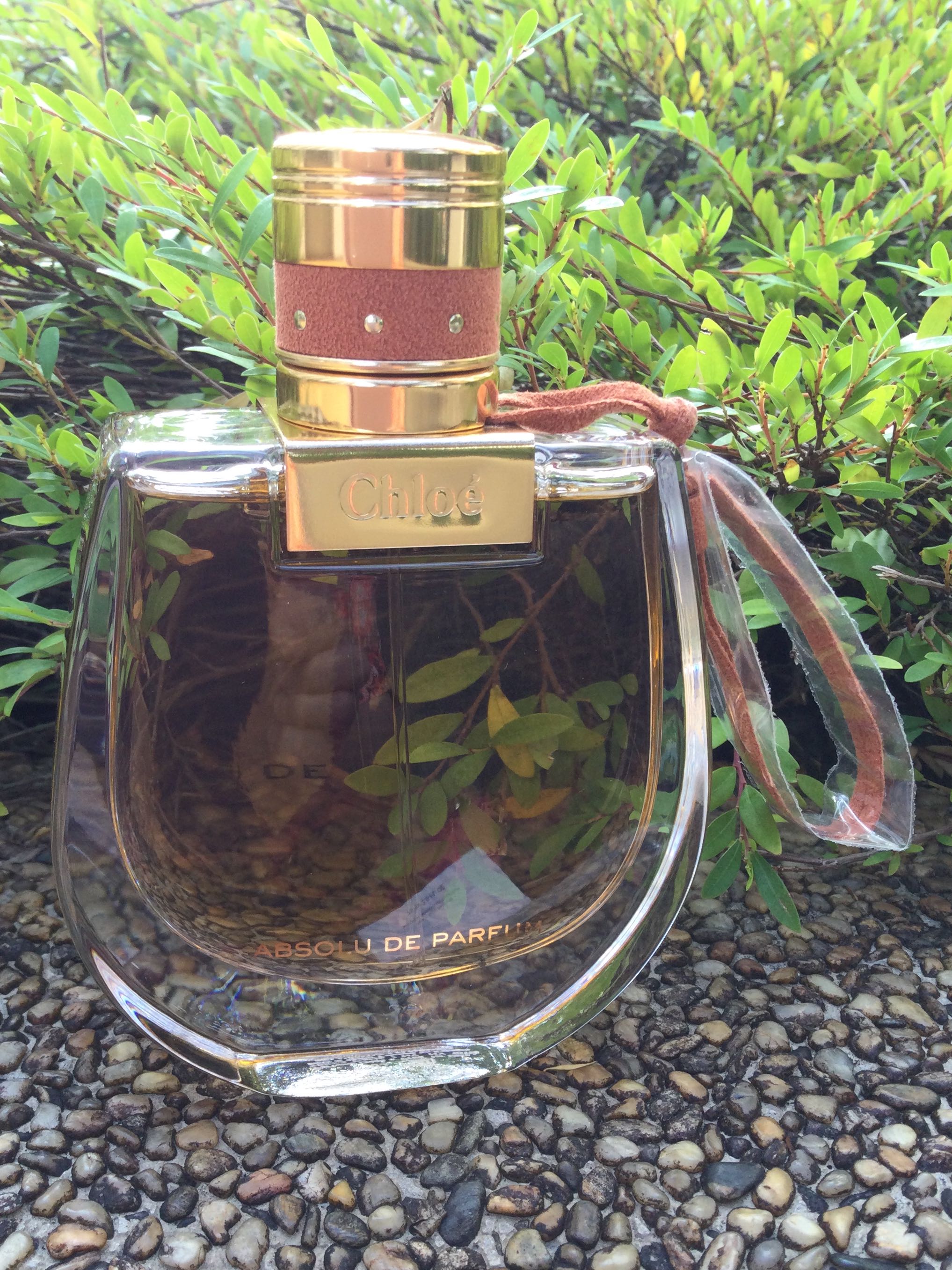 Authentic Chloe Nomade Absolu De Parfums 75ml, Beauty & Personal Care,  Fragrance & Deodorants on Carousell