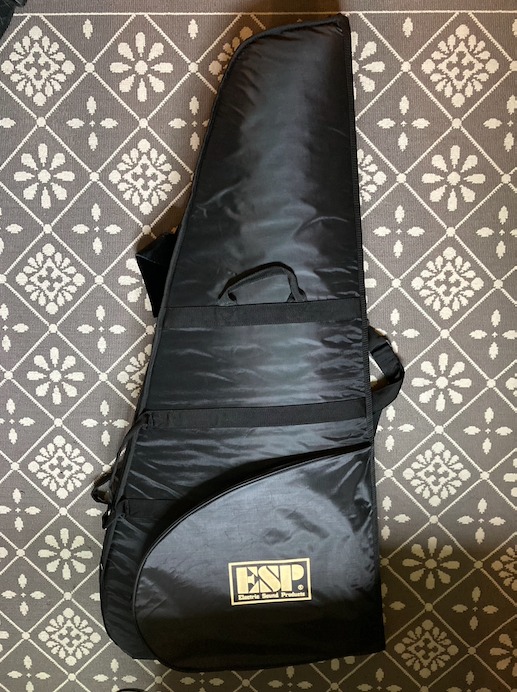 Esp best sale guitar bag