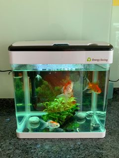 (Category: ) located in . Submitted by susie38 (Listing ID 1076314933, Image 1). Description: .