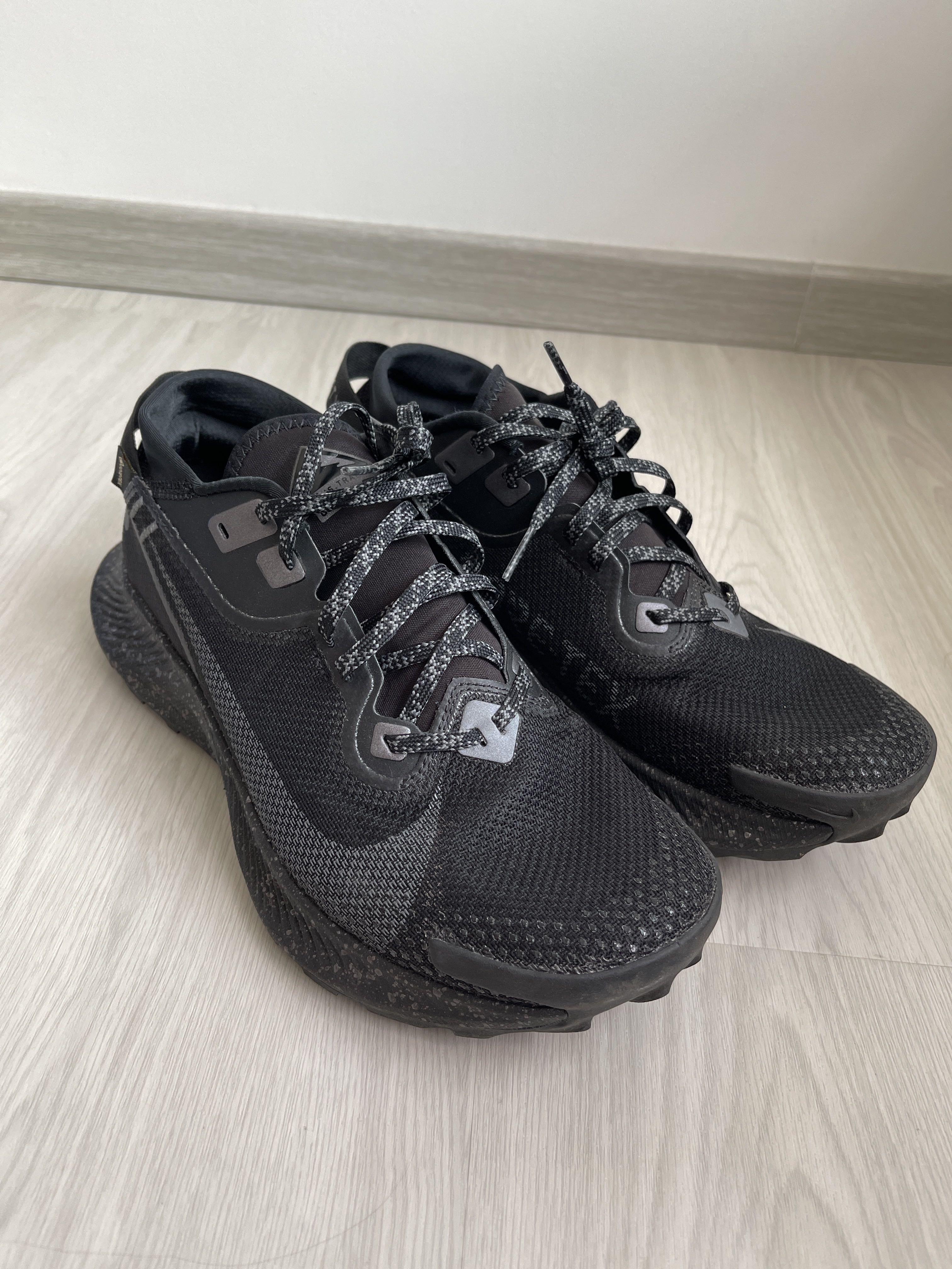 Nike Pegasus Trail 2 GORE-TEX, Men's 