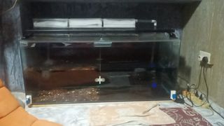 (Category: ) located in . Submitted by melia95 (Listing ID 1076576492, Image 1). Description: .