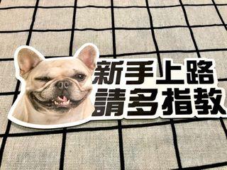 新手上路！請多指教