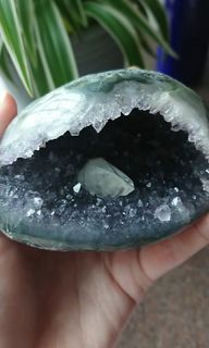 （分類：）位於 。 由 crystal_aurora 提交（商品編號 1076596736，圖片 1）。簡介： 。