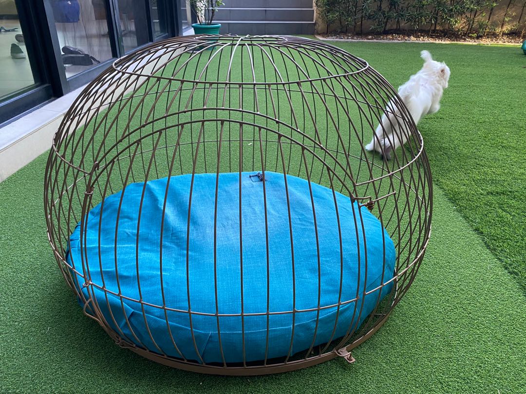 Dome hotsell dog crate
