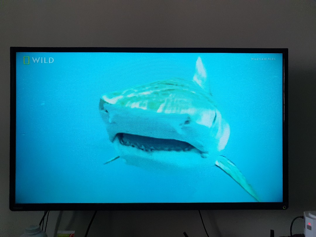 toshiba 40 led tv 40l2400ve tv home appliances tv entertainment tv on carousell