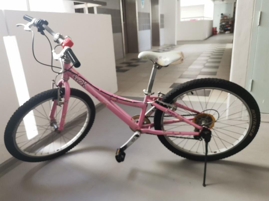 Trek bike 24'' - Pink, Sports Equipment 