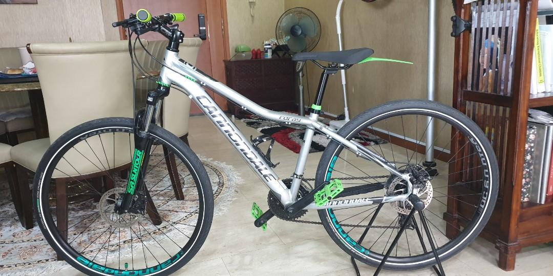 Cannondale top foray 2