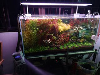 (Category: ) located in . Submitted by kendrick8055 (Listing ID 1076869762, Image 1). Description: .