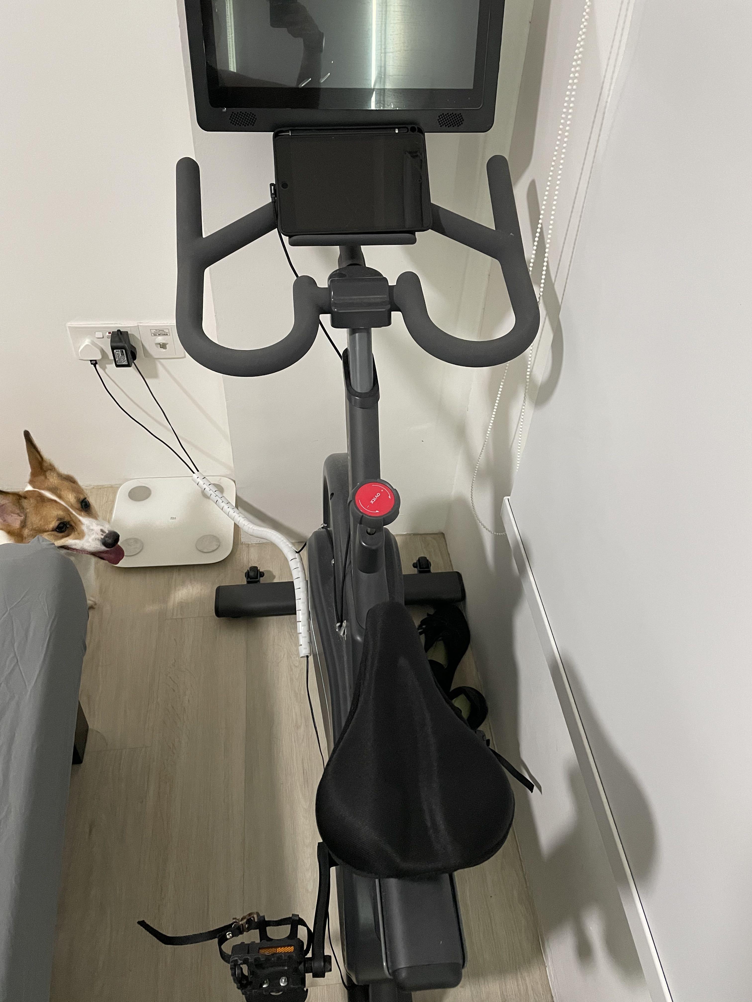 Almost New Xiaomi Xqiao Xcycle Q200X Exercise Spin Bicycle Bike Indoor Sports Equipment Exercise Fitness Cardio Fitness Machines on Carousell