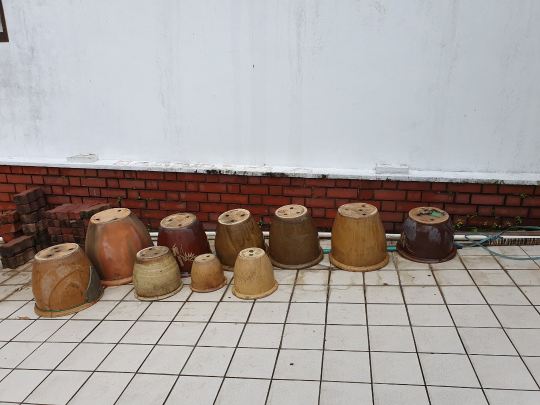 Big clay flower pots, Furniture & Home Living, Gardening, Pots