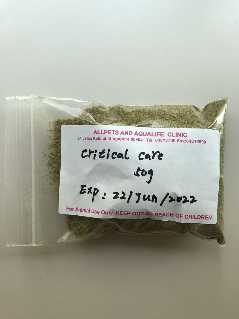 Critical care hamster new arrivals