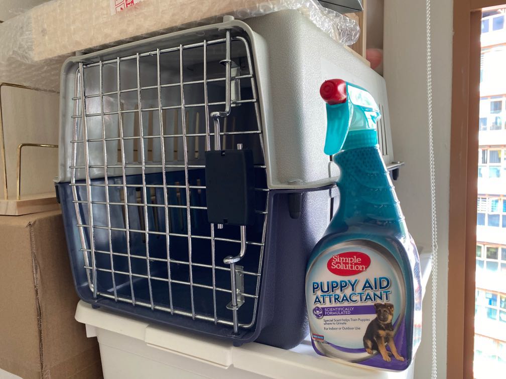 Dog crate + free potty training aid!, Pet Supplies, Homes & Other Pet