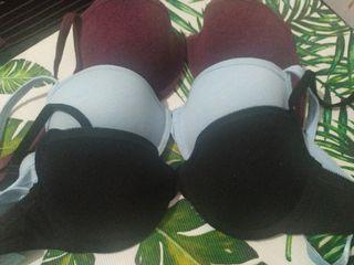 Esmara bra