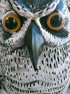 Garden Owl Decor Collectible