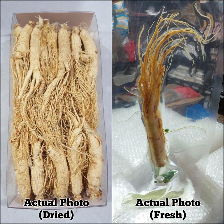 KOREAN GINSENG ROOT [8 Years Old] Dried Korean Ginseng Roots, Food & Drinks, Fresh Produce on