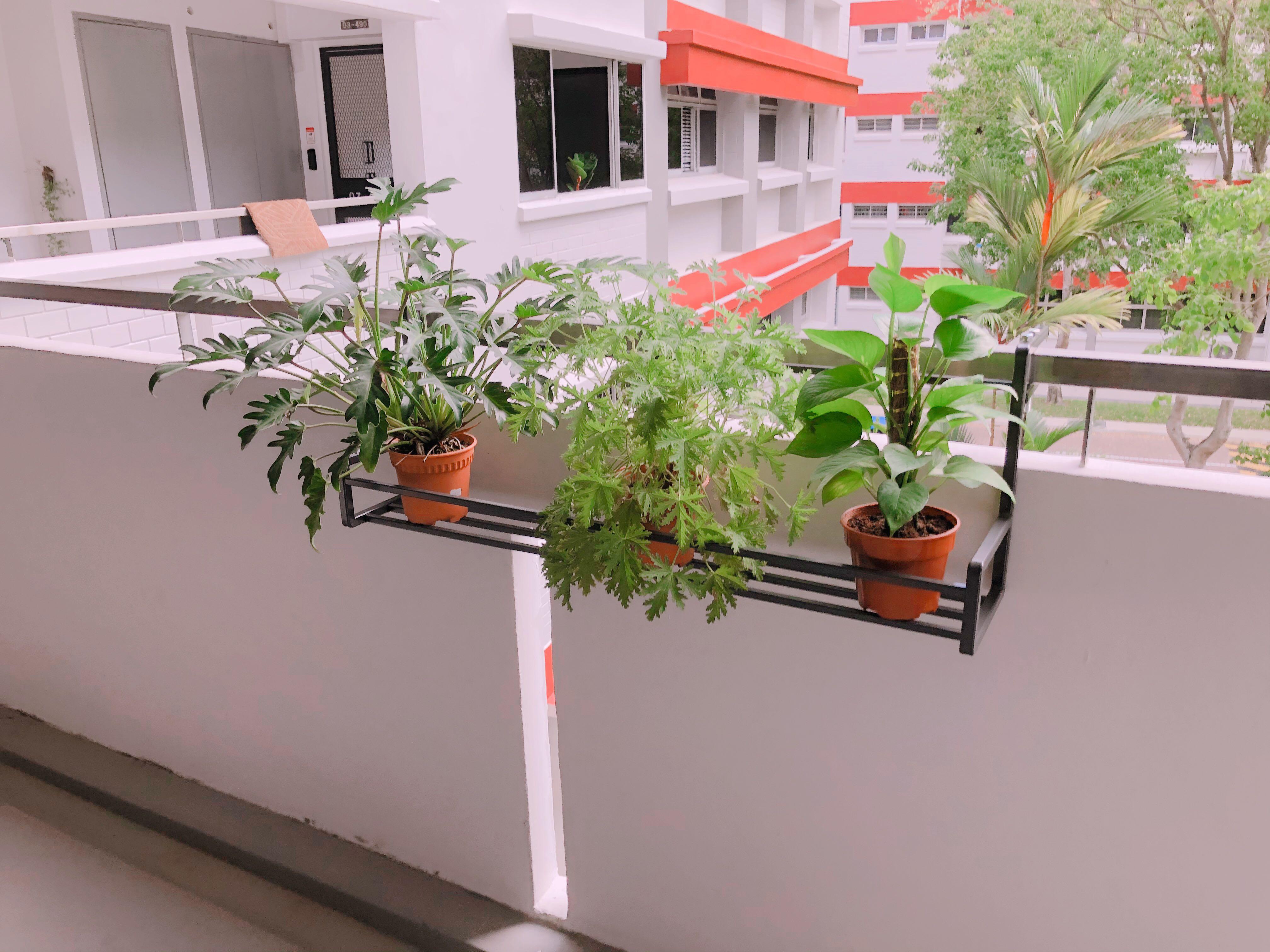 Modern Heavy Duty MIni Standard Plant rack balcony Display shelf for