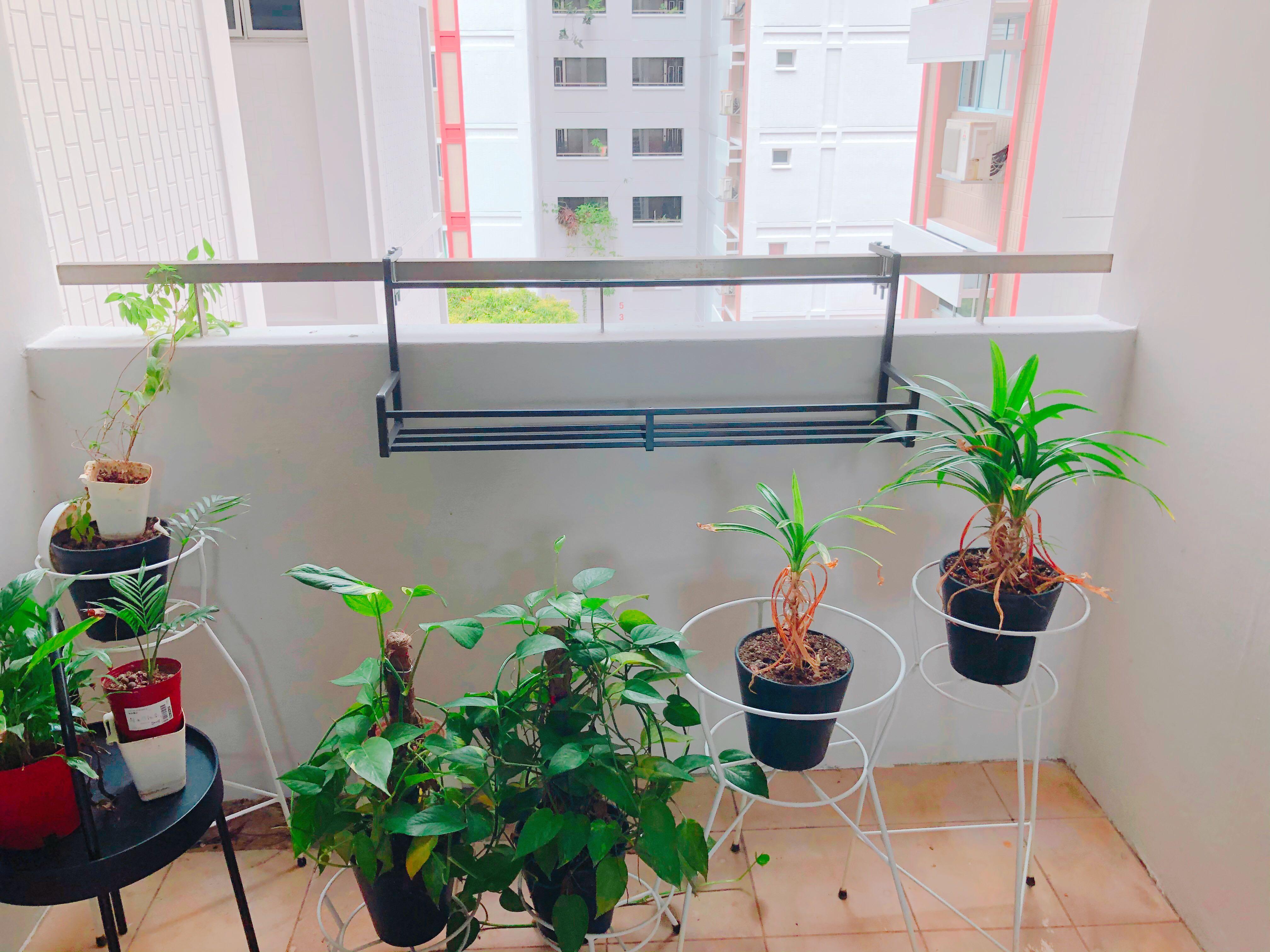 Modern Heavy Duty MIni Standard Plant rack balcony Display shelf for ...