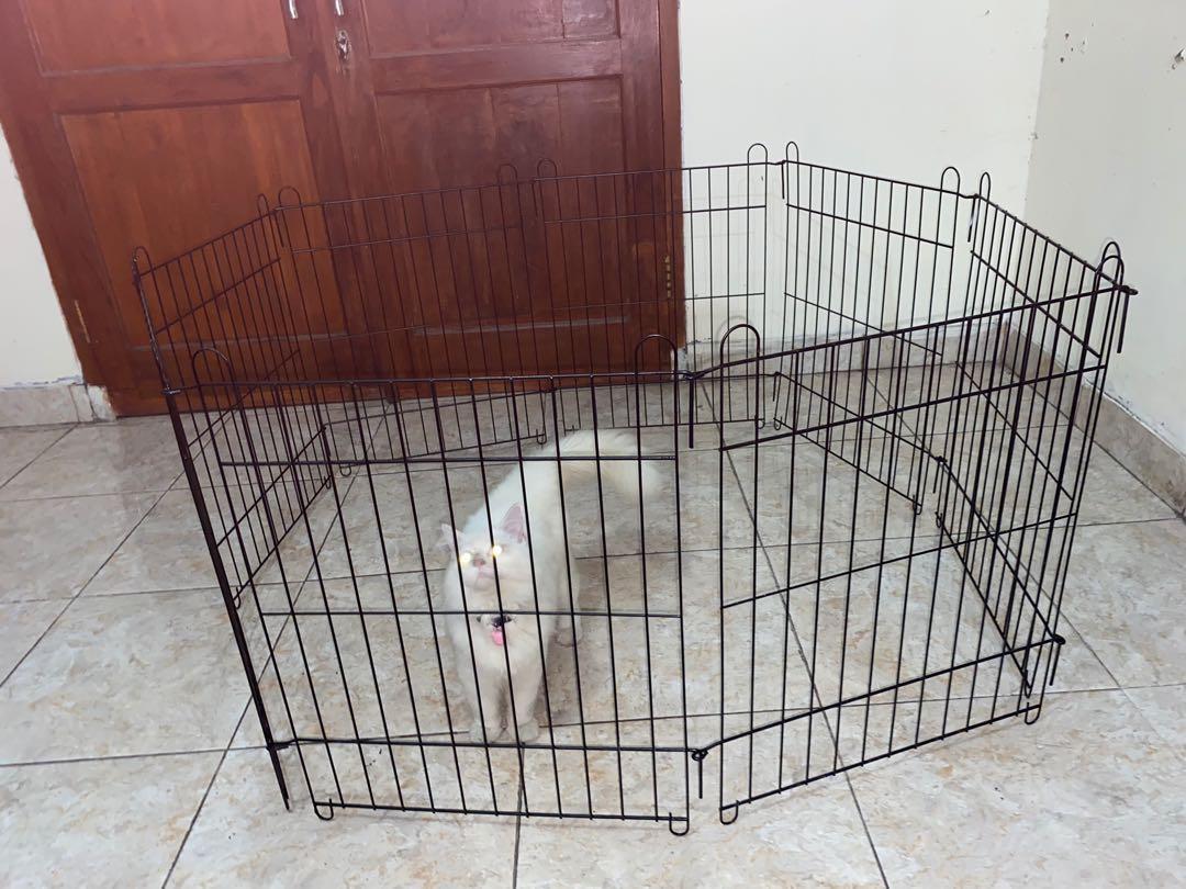 Pagar kucing/kandang kucing/pagar anjing