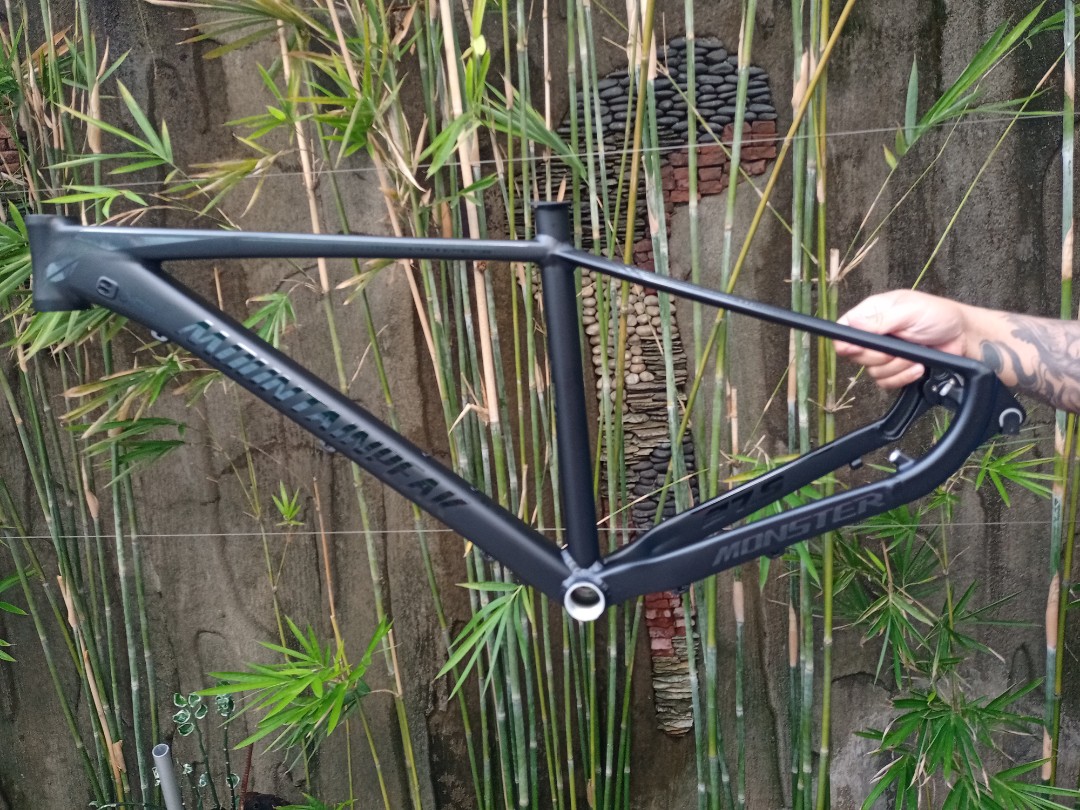 Mountain peak on sale monster 27.5