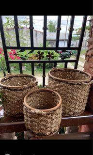 Rattan Pot Planters