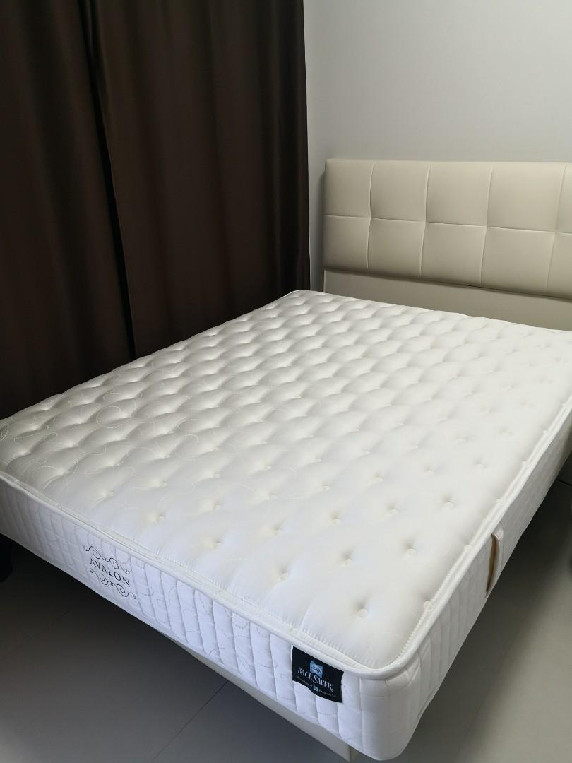 Sealy back deals saver mattress
