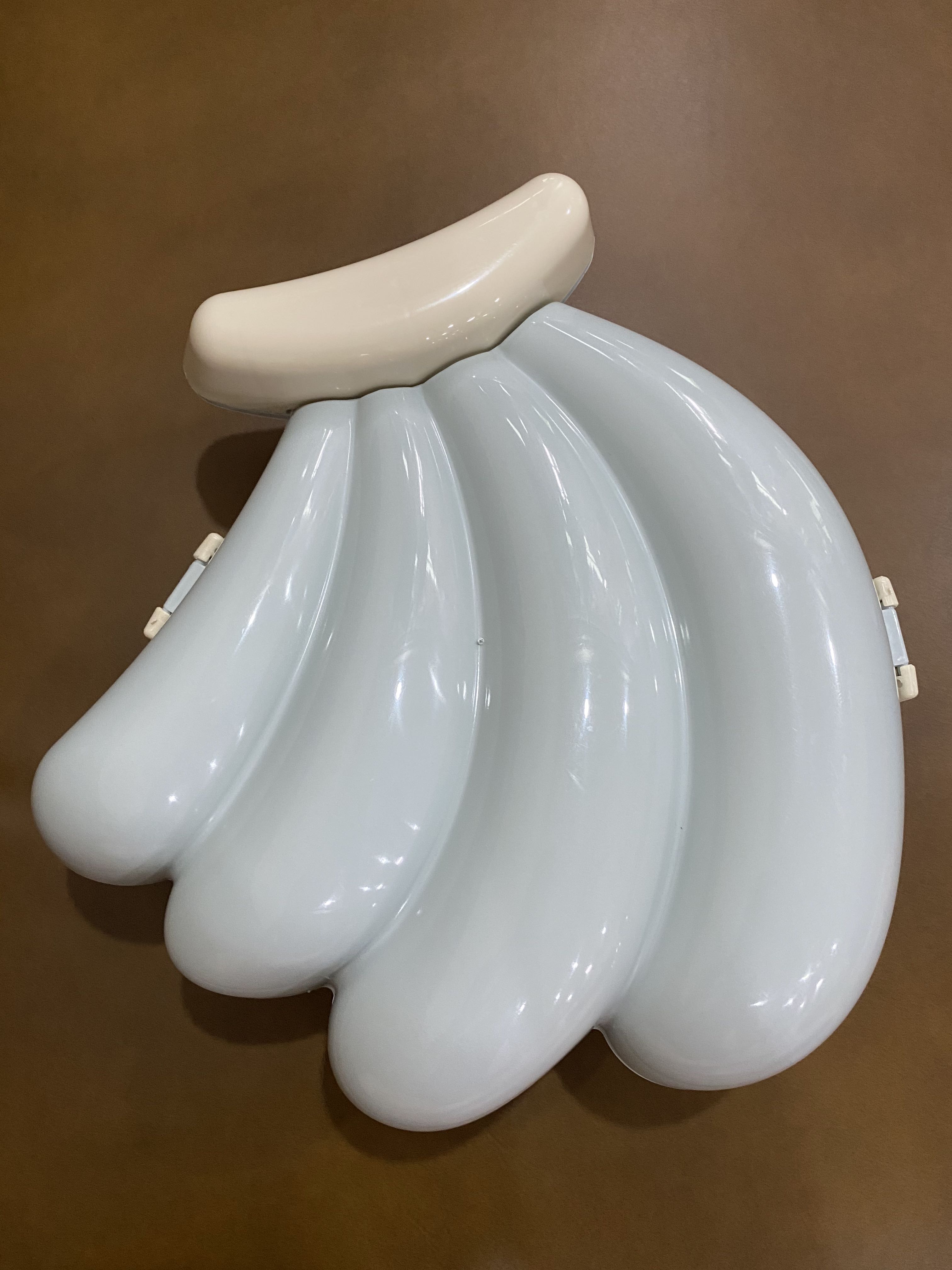 Banana container, Everything Else on Carousell