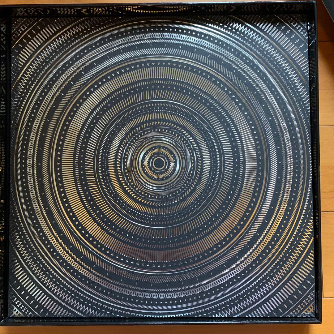 BIGBANG 太陽Taeyang Rise+Best Collection Vinyl LP, 興趣及遊戲