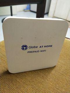 Globe at Home