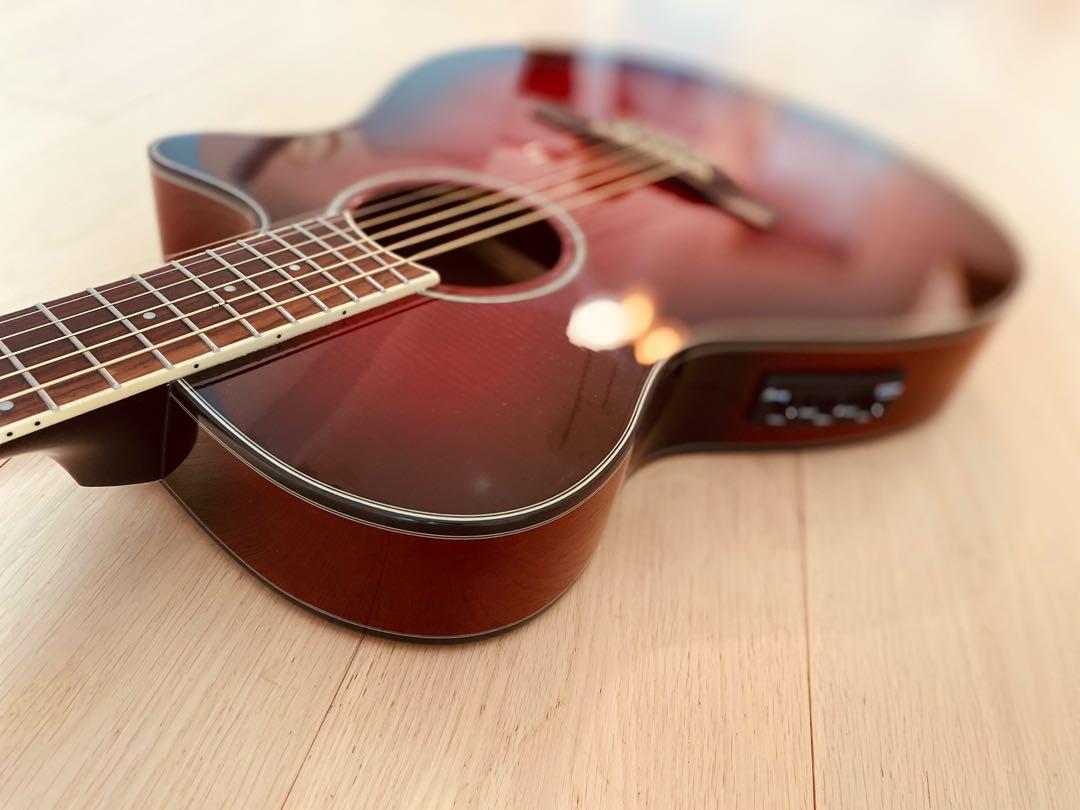 Ibanez AEG24II-THS Electric-Acoustic Guitar, 興趣及遊戲, 音樂