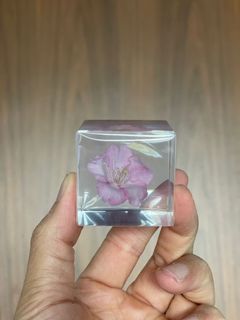 （分類：）位於 。 由 hachiware_li 提交（商品編號 1077439707，圖片 1）。簡介： 。