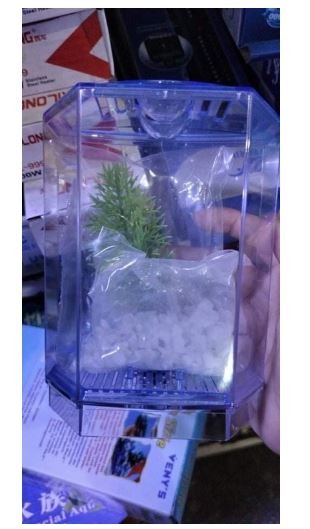 (Category: ) located in . Submitted by meostore (Listing ID 1077395135, Image 1). Description: .