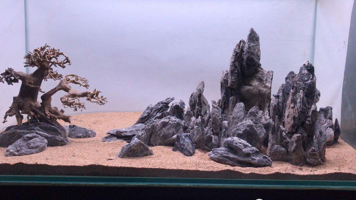 Bonsai tree aquarium scape service customisation, Furniture & Home