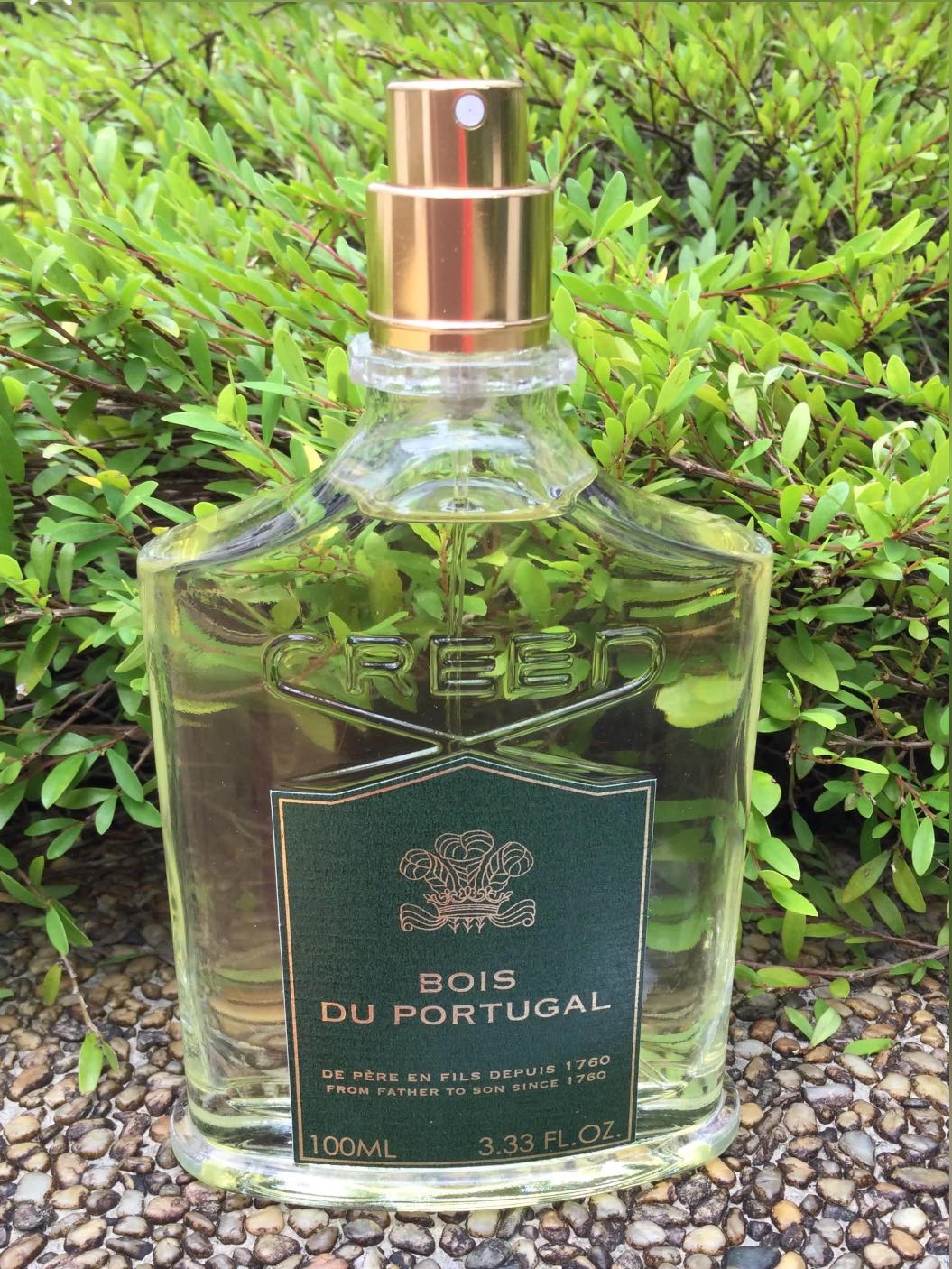 bois du portugal eau de parfum spray creed